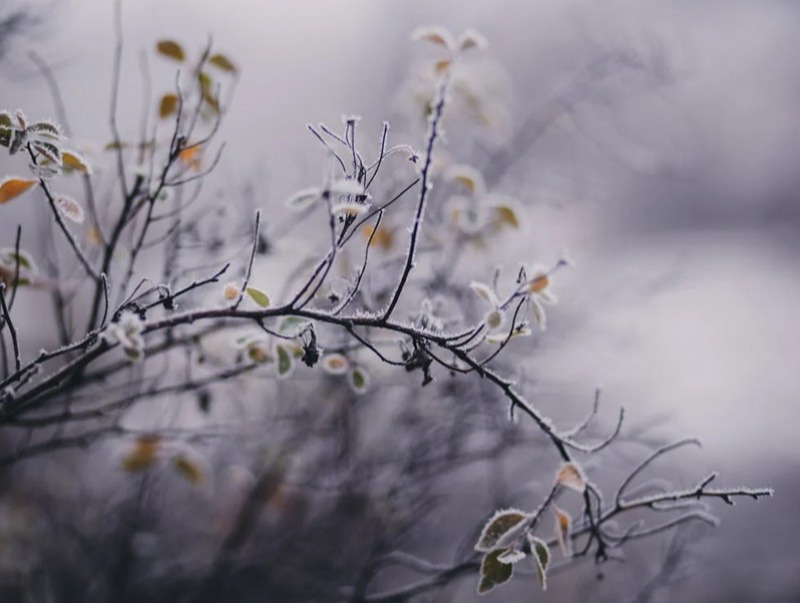 Ирэх 10 хоногт цаг агаар ямар байх вэ